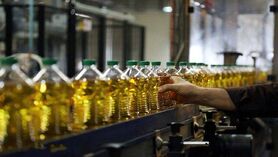  بالاترین میزان تورم مواد غذایی در ۱۲ سال اخیر رقم خورد