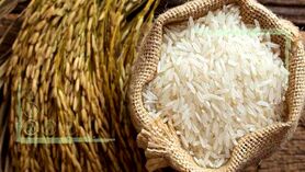 دولت به واردات برنج خارجی چک سفید نمی‌دهد
