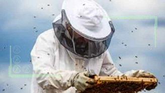 انعکاس مشکلات زنبورداران و قول مجلس بر مساعدت