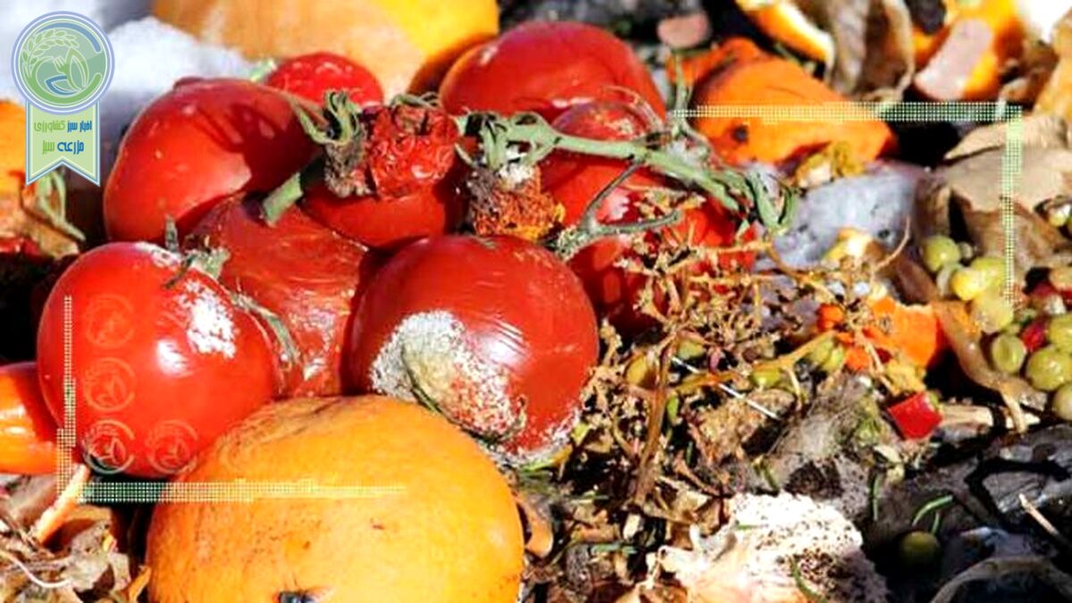 تامین غذای بحرین، امارات و کویت با ضایعات کشاورزی ایران