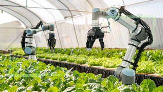 کشاورزی با کمک ربات‌های هوشمند