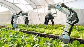 کشاورزی با کمک ربات‌های هوشمند