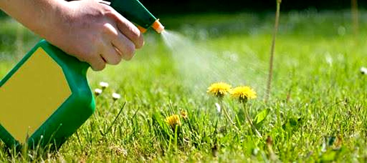 شش علف کش خانگی، بدون آسیب رسانی به خاک