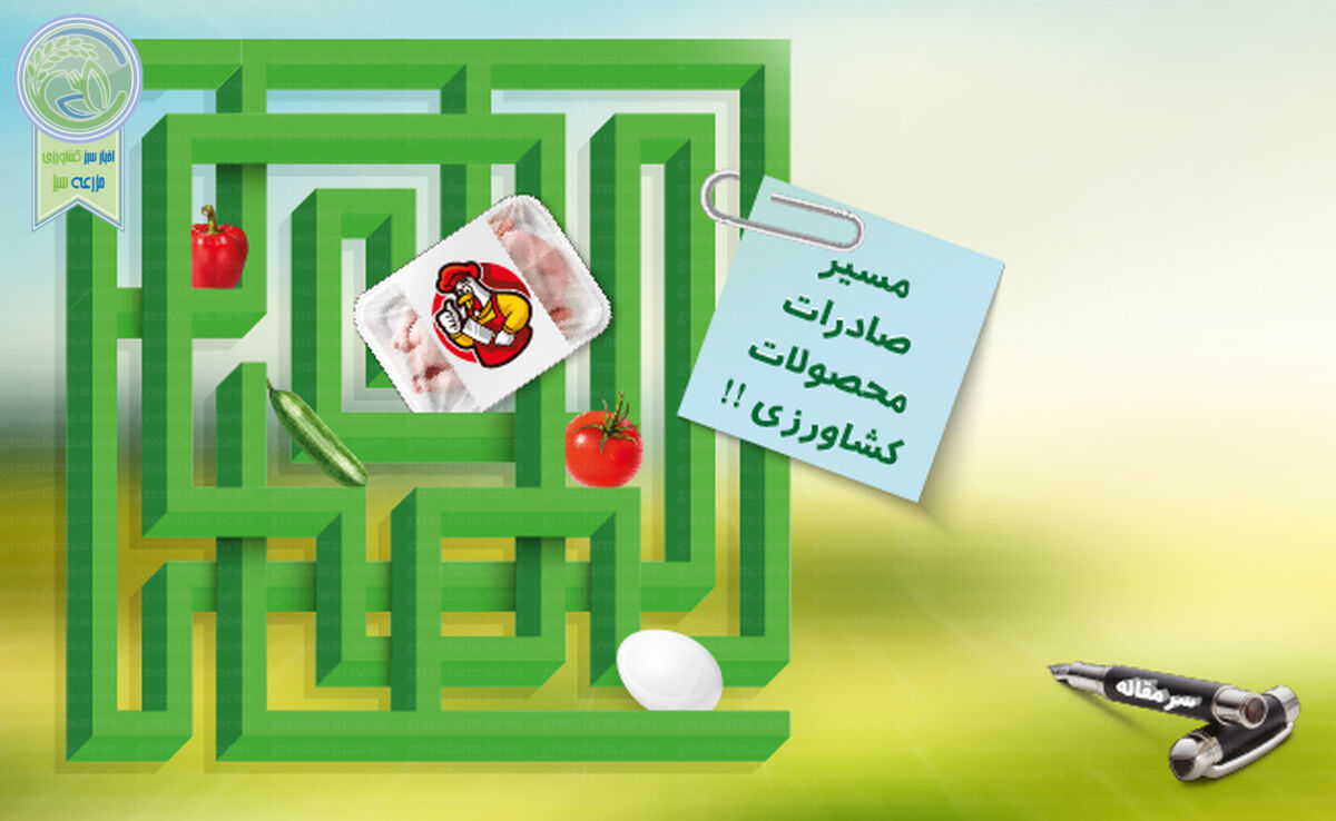 از قرارگاه تنظیم بازار تا قرارگاه صادرات

