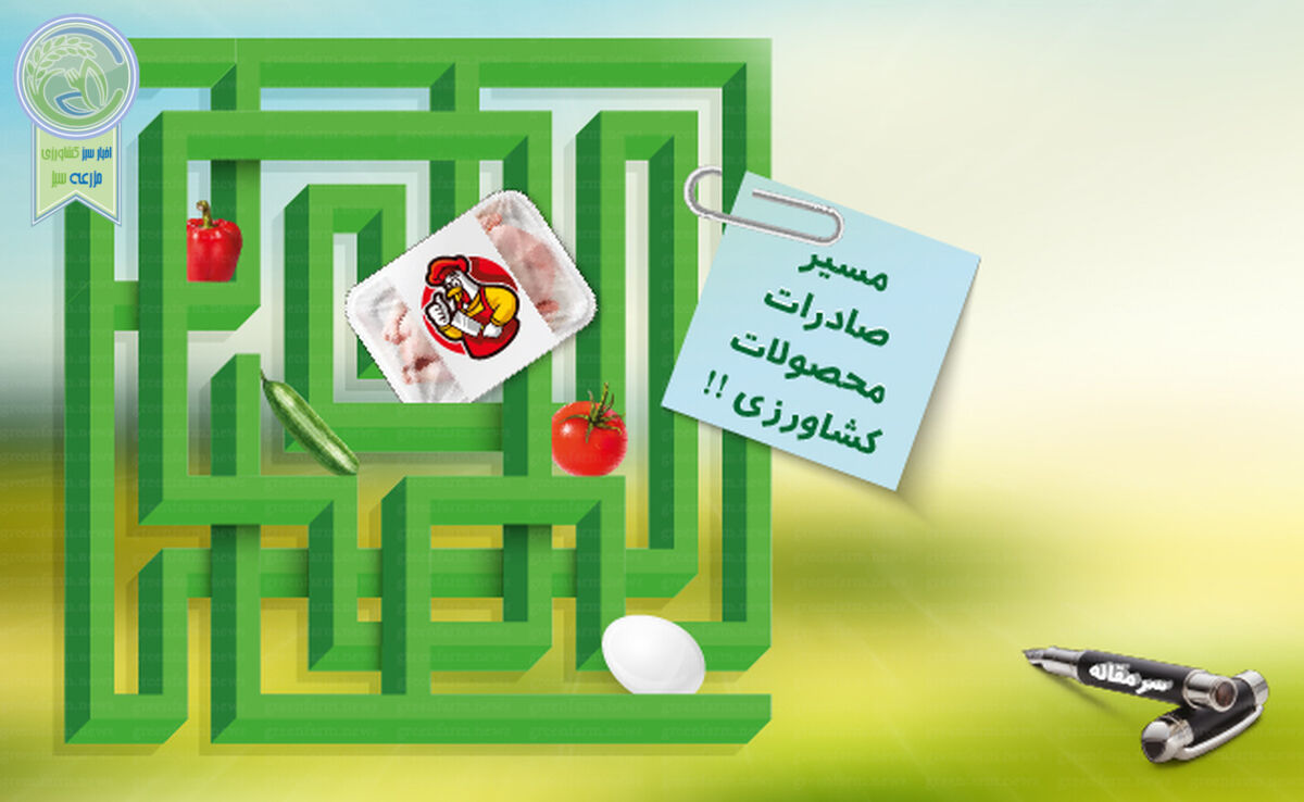 از قرارگاه تنظیم بازار تا قرارگاه صادرات

