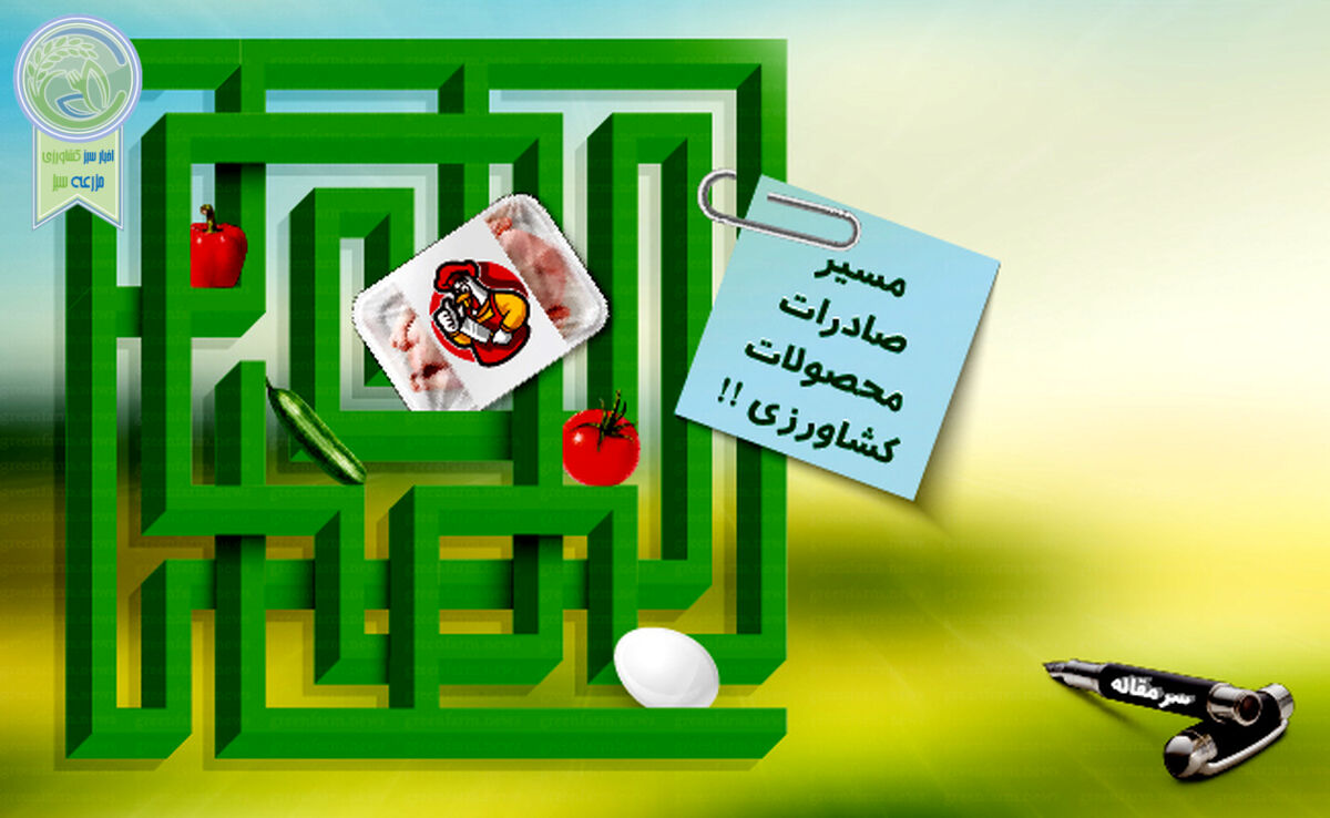 از قرارگاه تنظیم بازار تا قرارگاه صادرات

