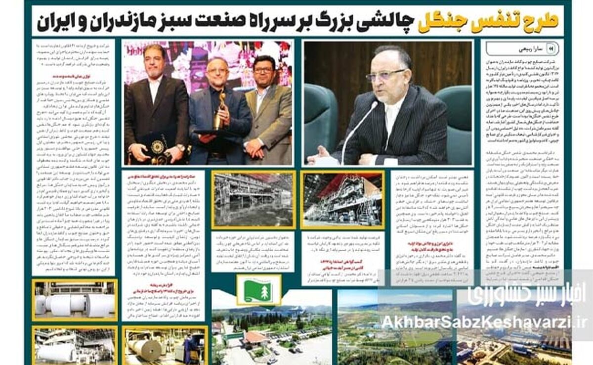 صنعت چوب و کاغذ مازندران؛ محور توسعه سبز کشور