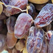 خرمای کبکاب؛ گنجی که نباید ارزان فروخته شود