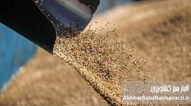 بذر فساد در نهاده‌ها؛ زنگ خطر برای امنیت غذایی و هشدار جدی به دولت و مجلس