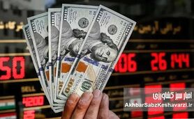 یارانه نقدی و ارز تک‌نرخی؛ ضرورت اقتصادی یا چالش اجتماعی؟