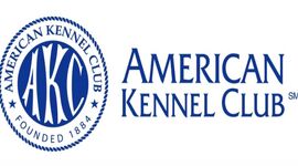 کنل کلاب آمریکایی(AKC)