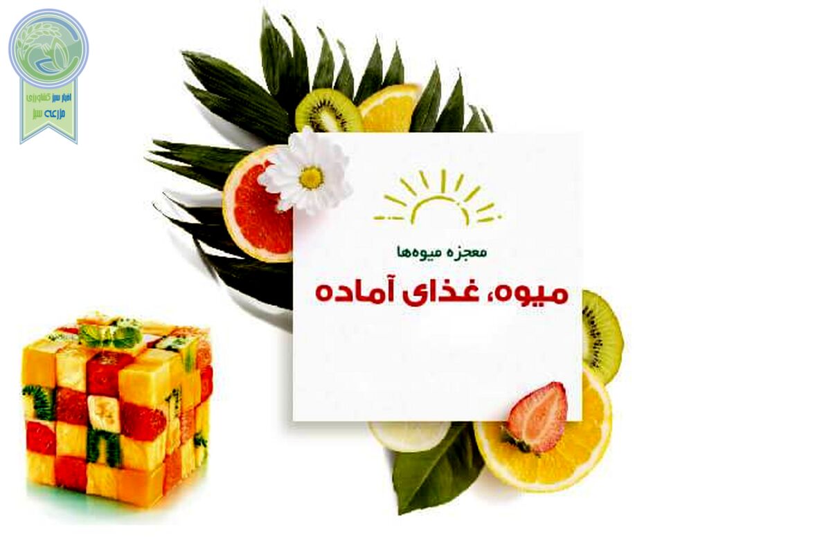میوه، غذای آماده