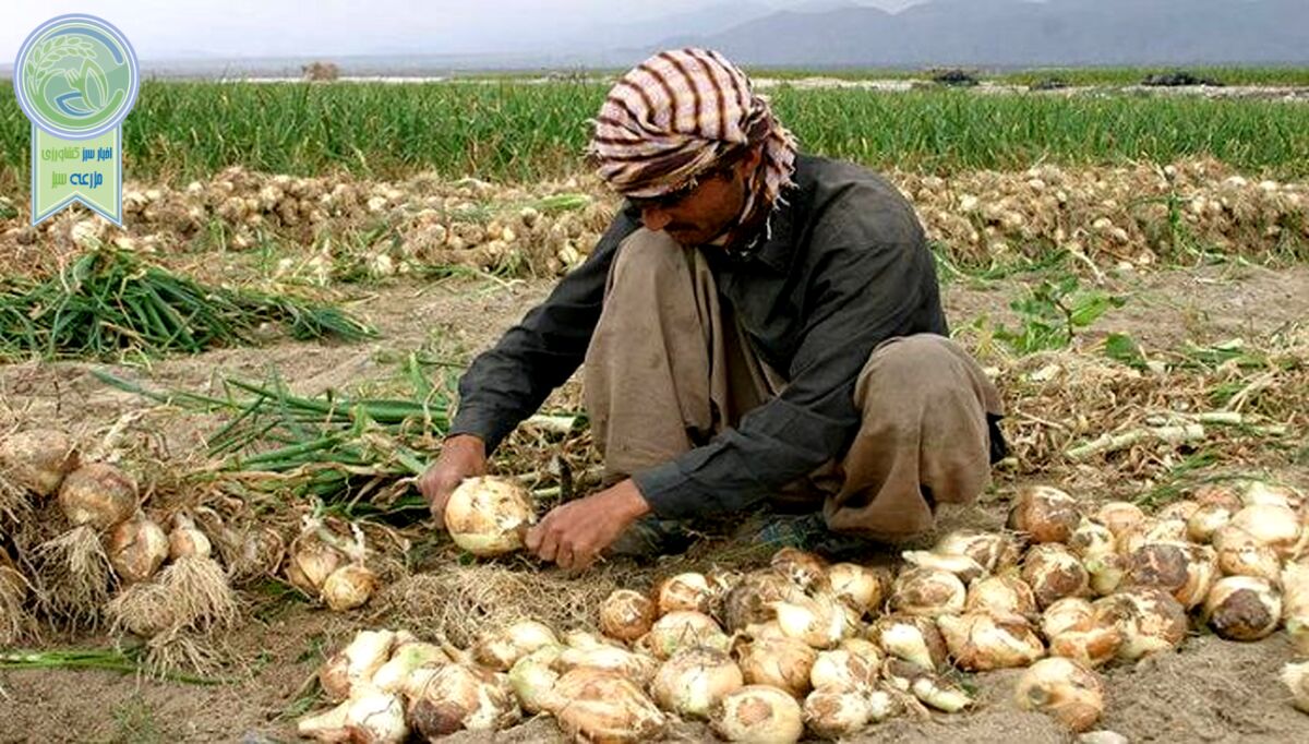 مرثیه ای برای وزیر جهاد کشاورزی دولت سیزدهم