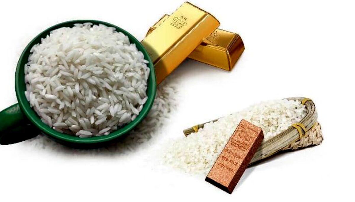 مشکلات برنج‌کاران داخلی