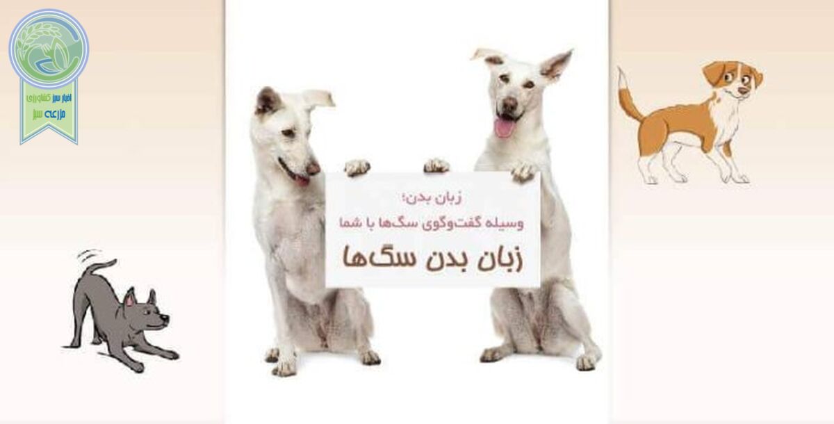 زبان بدن سگ‌ها