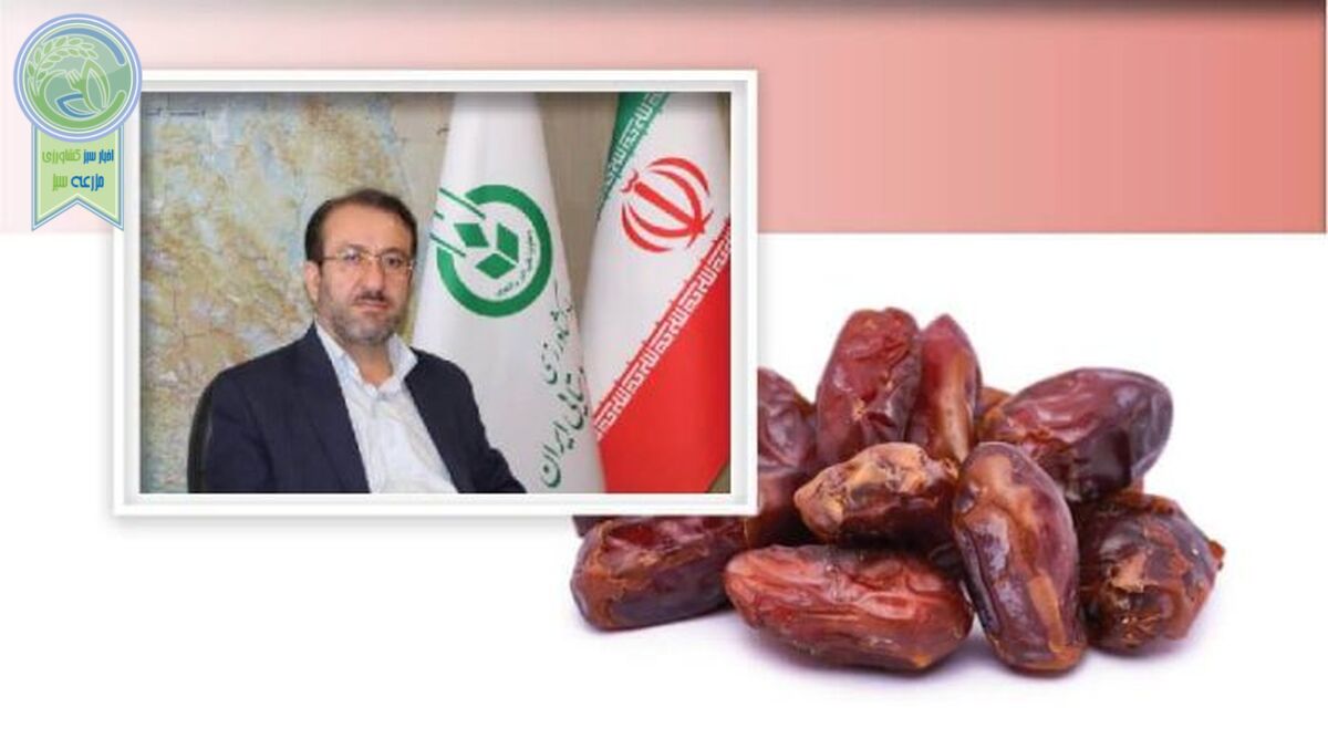 فکرسازمان مرکزی تعاون روستایی برای خرمای خوزستان