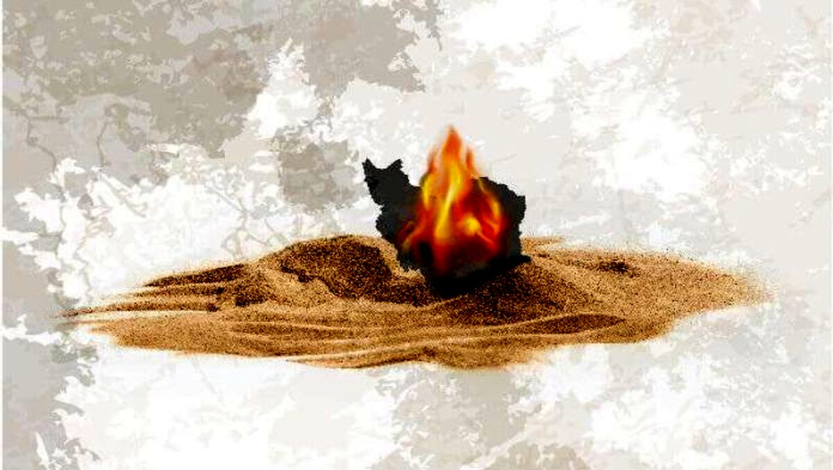 کوچاندن محیط زیستی
