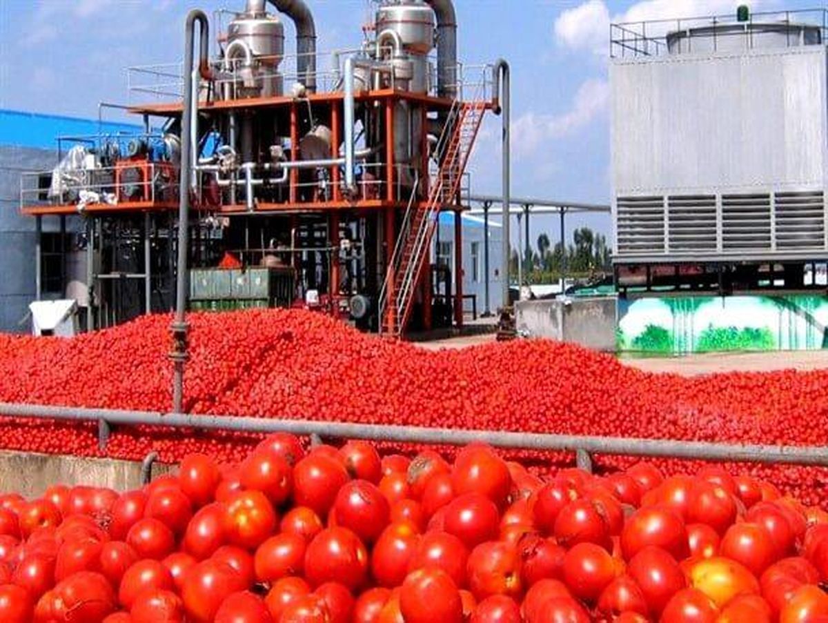 کارخانه‌داران، مسبب گرانی رب گوجه
