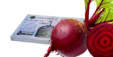 قیمت خرید تضمینی چغندرقند اصلاح شود