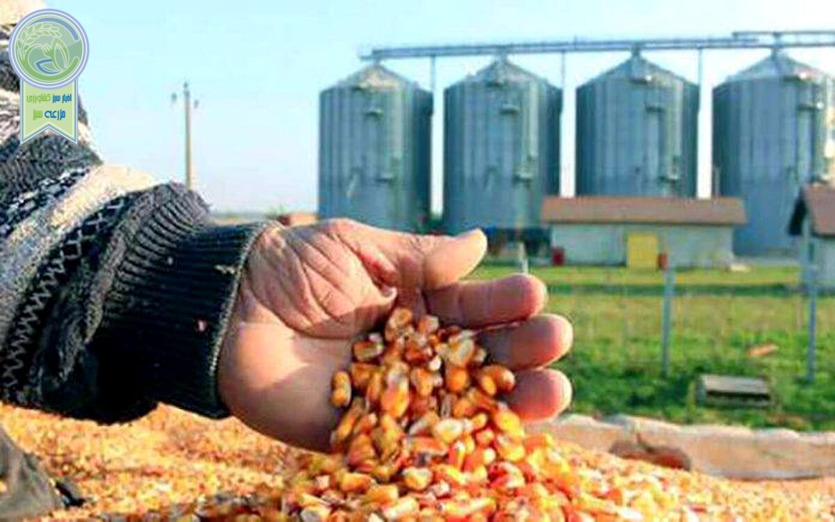 قاچاق عامل اخلال در بازار نهاده‌های دامی