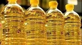 بلاتکلیفی دولت در تخصیص ارز برای روغن نباتی