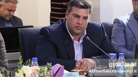 افشین احمدی: بیمه کشاورزی در روزهای بحران، تکیه‌گاه تولیدکننده است