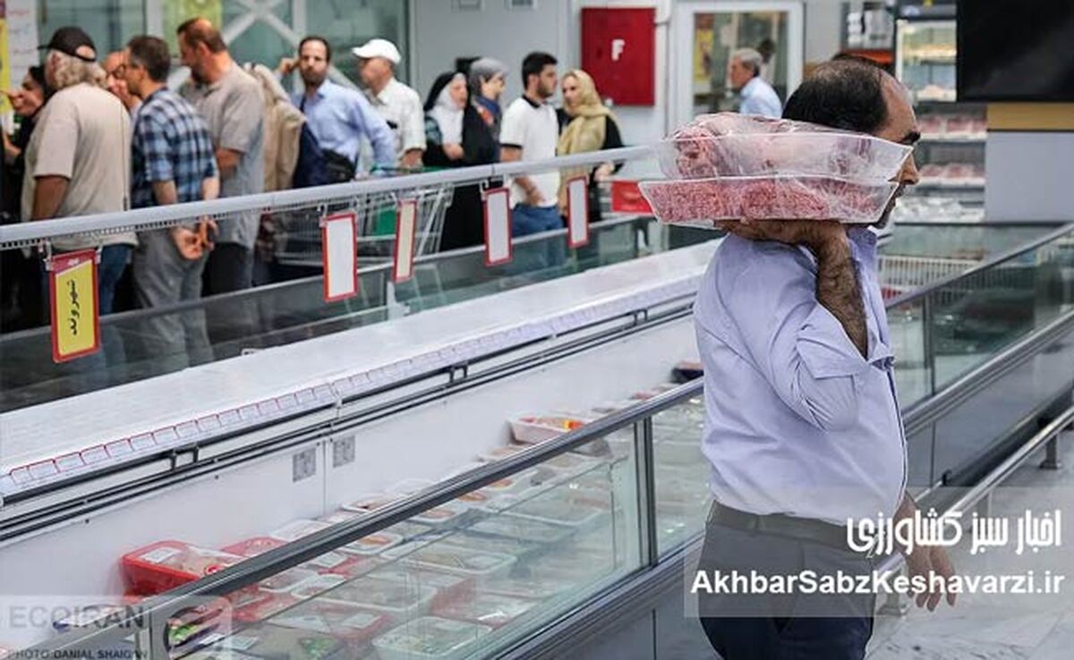 ناترازی وزیر کشاورزی؛ گوشت با ارز دولتی ۱ میلیون و ۲۰۰ هزار تومان، با ارز آزاد ۶۰۰ هزار تومان+ ویدئو
