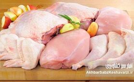 زیان مرغداران و نوسان قیمت مرغ؛ بازار مرغ در فشار کمبود نهاده‌ها