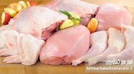 زیان مرغداران و نوسان قیمت مرغ؛ بازار مرغ در فشار کمبود نهاده‌ها