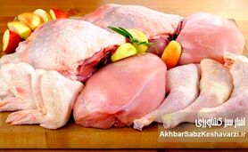 زیان مرغداران و نوسان قیمت مرغ؛ بازار مرغ در فشار کمبود نهاده‌ها