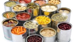 کمبود صنایع تبدیلی آفتی بر پیکره کشاورزی