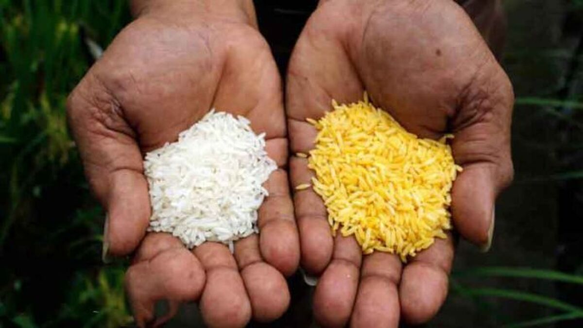 ظهور فراتراریخته‌ها