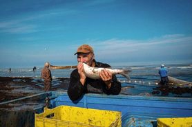 رشد 12درصدی صید ماهیان استخوانی در گیلان