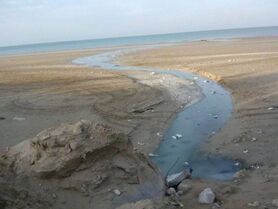 وضعیت نابه سامان فاضلاب در گناوه