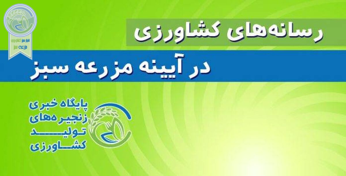انحصار در توزیع اینترنتی مرغ و تخم مرغ تنظیم بازاری