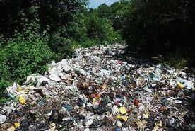 زباله در مازندران؛ معضلی برای تمام فصول