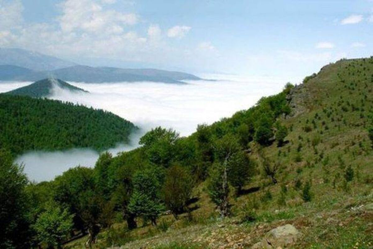 بذرکاری در زاگرس طرحی نمایشی است