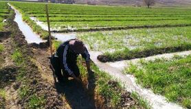 چشم طمع خارج نشینان به اراضی مازندران