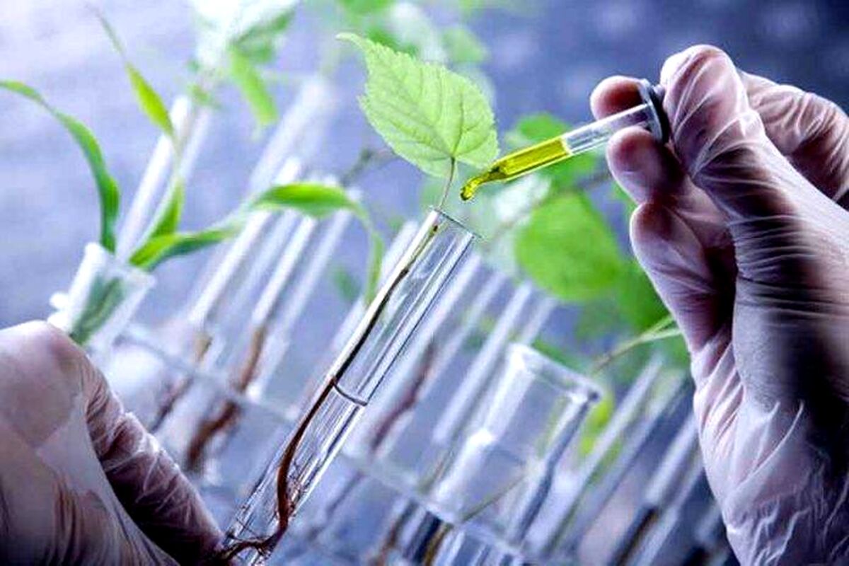 لابی‌های پنج‌گانه موسسه‌های تحقیقاتی