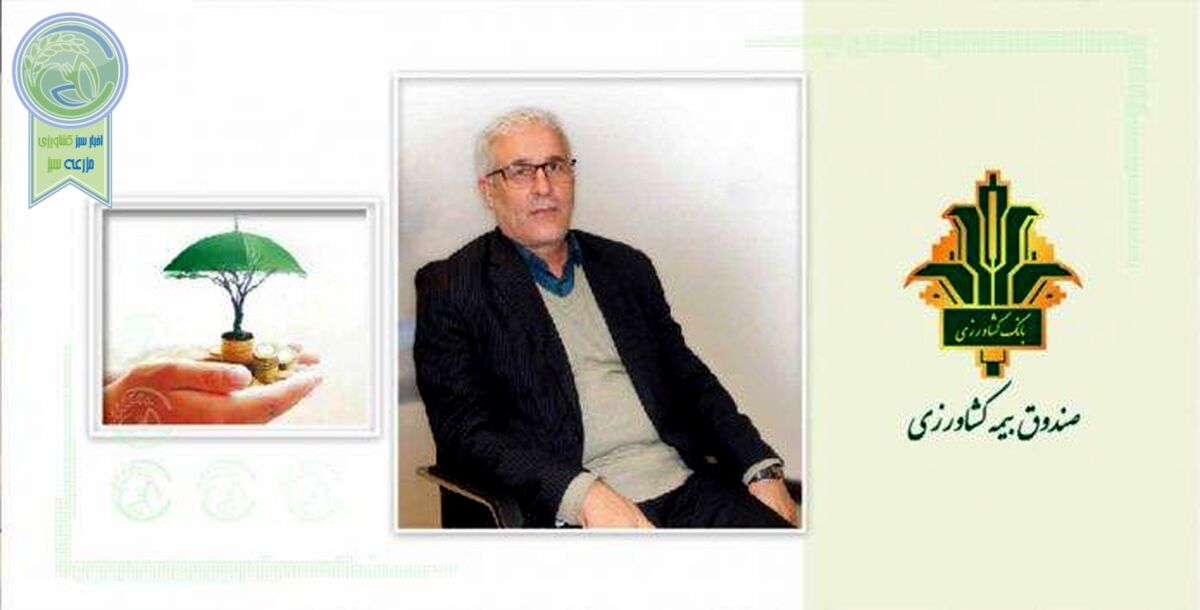 صندوق بیمه کشاورزی؛ پشتیبان بخش کشاورزی