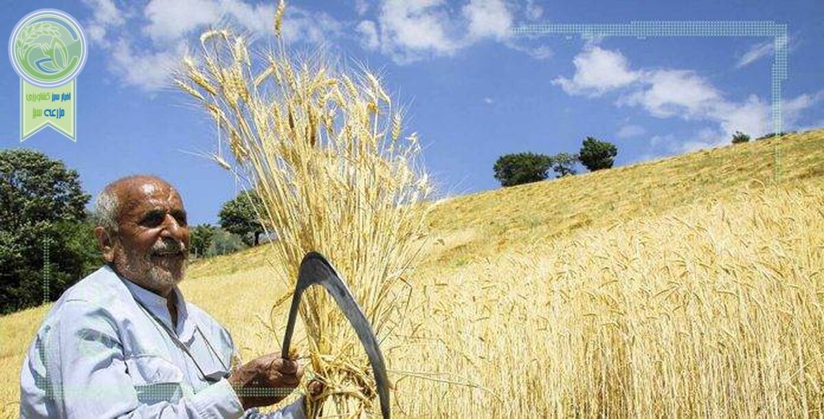 گذر از کشاورزی سنتی، راه مقابله با کم آبی
