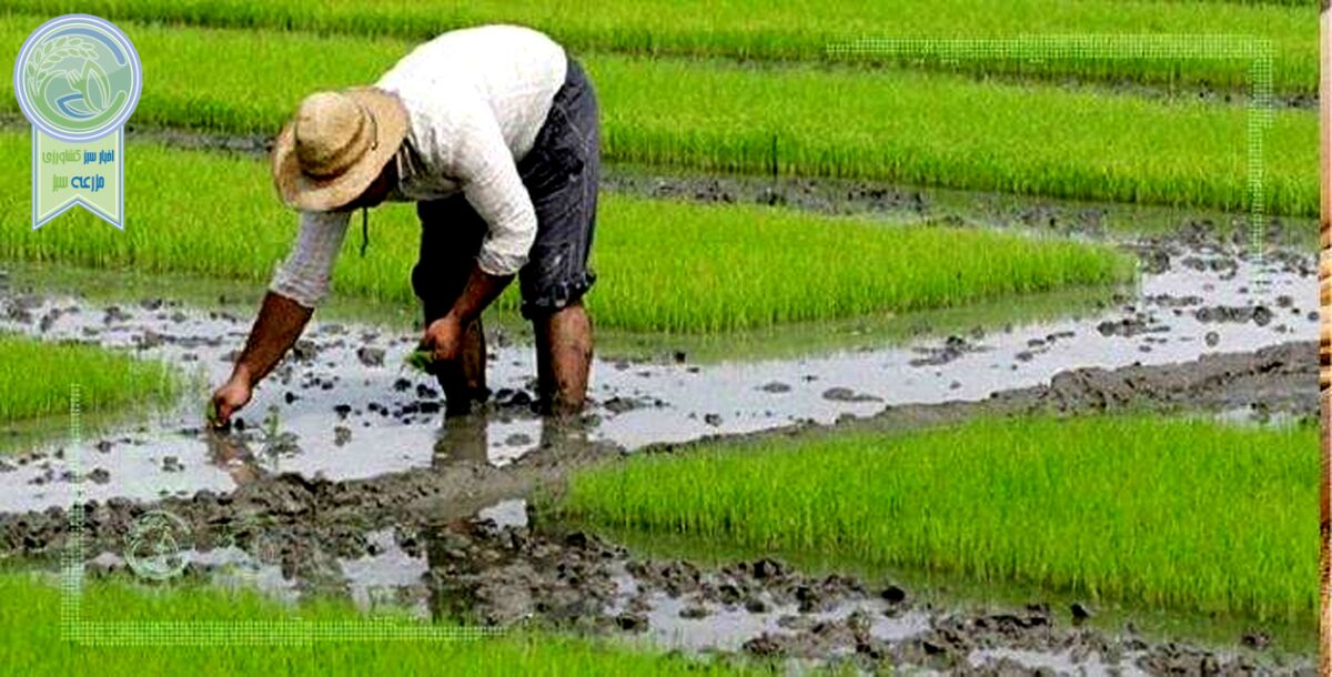 بررسی واگذاری مدیریت منابع آبی به‌ بخش کشاورزی