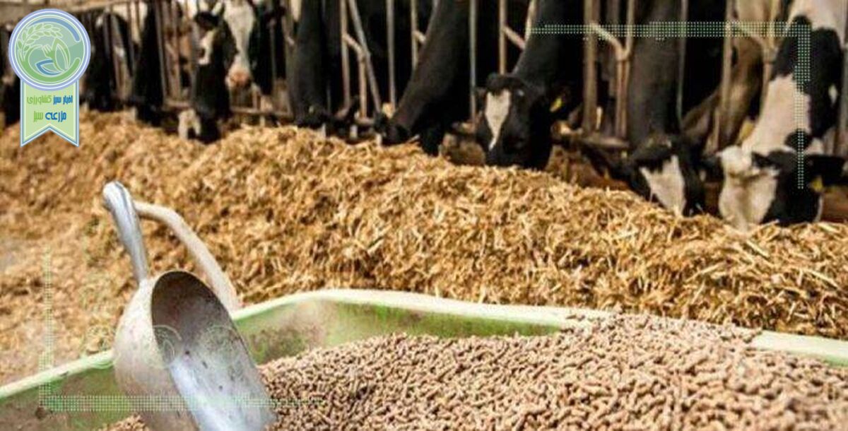 توزیع ۵۰۰ هزار تن نهاده بین دامداران روستایی و عشایری