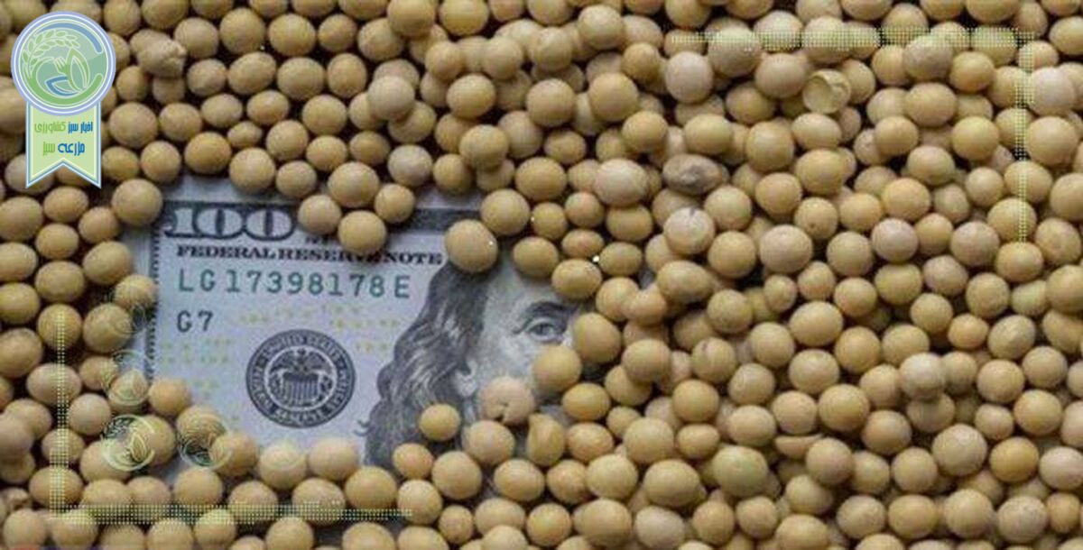 احتمال حذف ارز دولتی نهاده‌های دامی تا ماه آینده