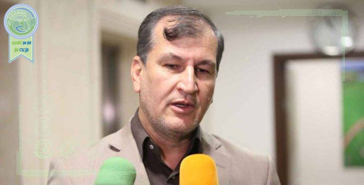 ادامه رایزنی‌ها برای صادرات فلفل دلمه‌ای به روسیه