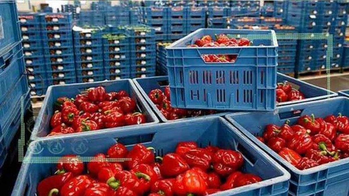 پشت پرده توطئه عودت محصولات کشاورزی ایران