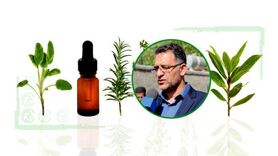 صنعت مغفول مانده گیاهان دارویی