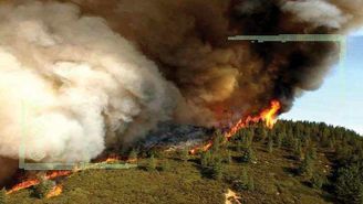 جنگل‌های شمال در آتش کمبود امکانات خاکستر می‌شوند