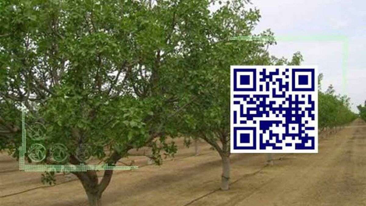 شناسنامه‌دار کردن باغات، تبدیل تهدید به فرصت