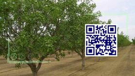 شناسنامه‌دار کردن باغات، تبدیل تهدید به فرصت